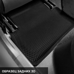 Левый пассажир