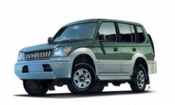 2D коврики EVA в салон на Toyota Land Cruiser Prado 90 (1996-2002)