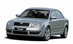2D коврики EVA в салон на Skoda Superb I (2001-2008)