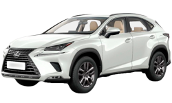 3D коврики EVA с бортами в салон  на Lexus NX (2014-2021)